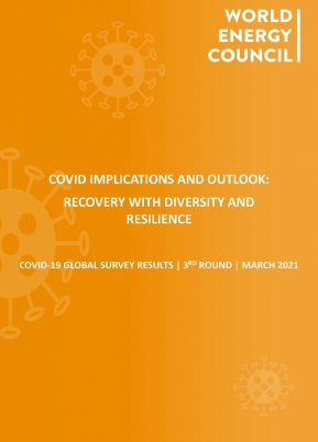 3rd COVID-19 Impact Survey Results and Outlook: Recovery with Diversity and Resilience