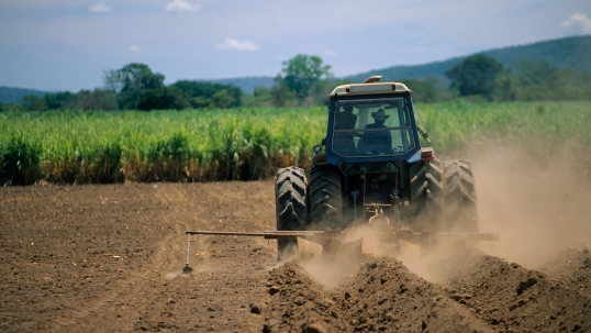 NEW: Raizen - Grass that powers vehicles