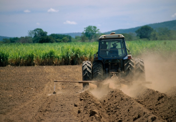 NEW: Raizen - Grass that powers vehicles