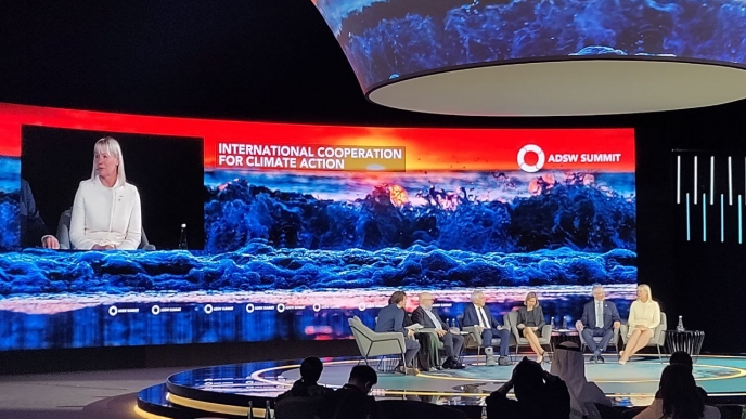 Blog: What might we learn in the Year of the Rabbit to advance inclusive and sustainable energy developments? - News & Views