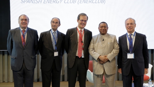 Energy Futures: The Middle East and Regional Energy Transitions