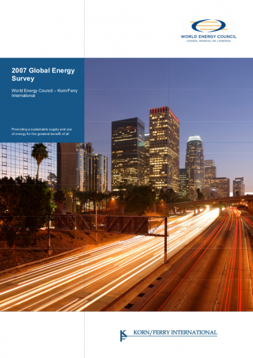 2007 Global Energy Survey