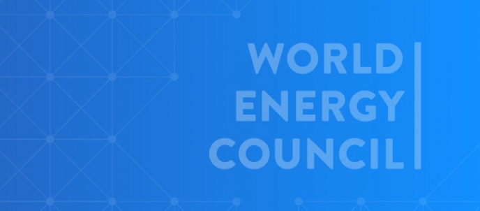 Partners: E.ON - World Energy Council